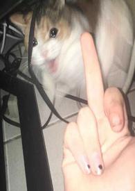 讨厌又怎么样,还不是要乖乖挨操(百合H) 讨厌又怎么样,还不是要乖乖挨操(百合H)